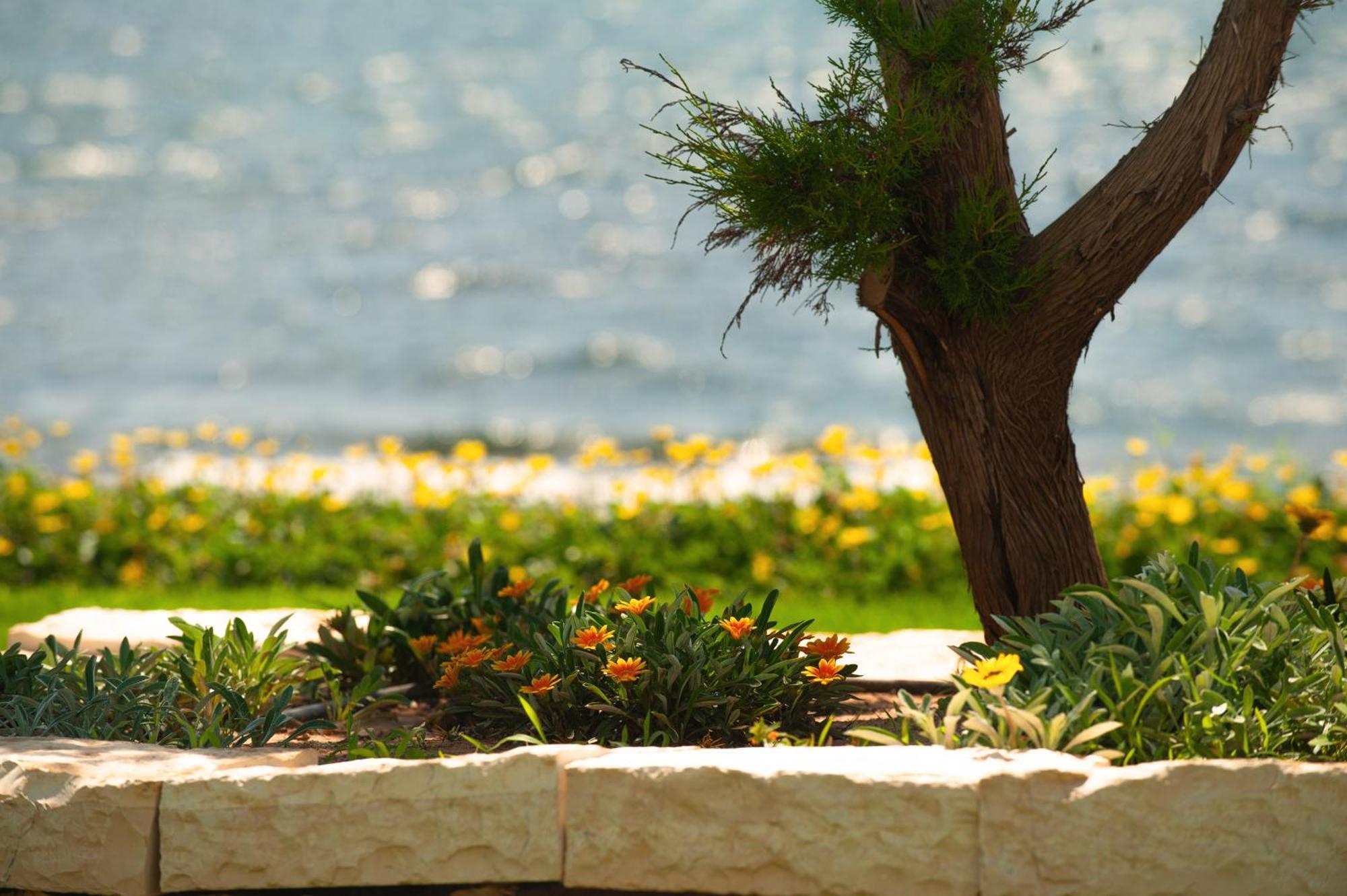 Theluxuryvillas Preveza Exteriör bild